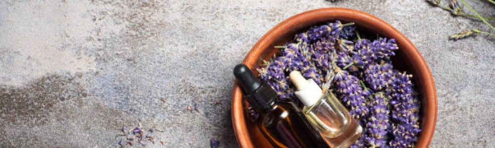 Lavender essential oil in bottles and lavender flowers in a bowl on a light gray background. With copy space